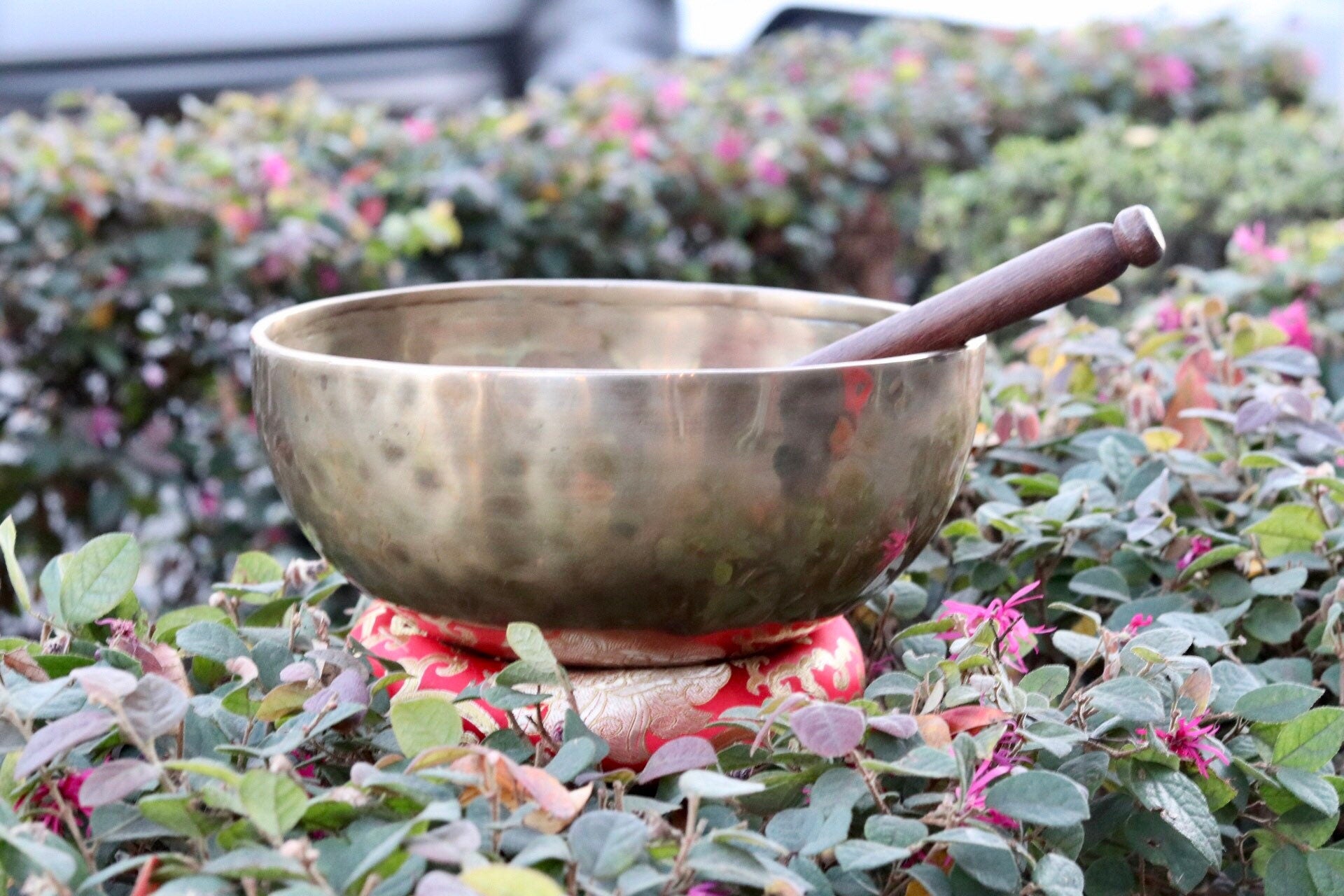 10" inch Hand Hammered Tibetan Singing Bowl, Chakra Healing, Sound Therapy