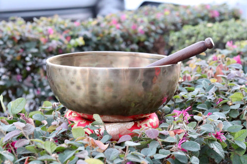 10" inch Hand Hammered Tibetan Singing Bowl, Chakra Healing, Sound Therapy