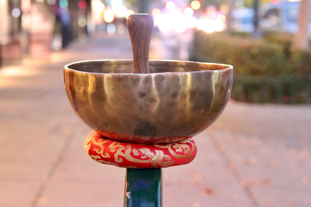 10" inch Hand Hammered Tibetan Singing Bowl, Chakra Healing, Sound Therapy