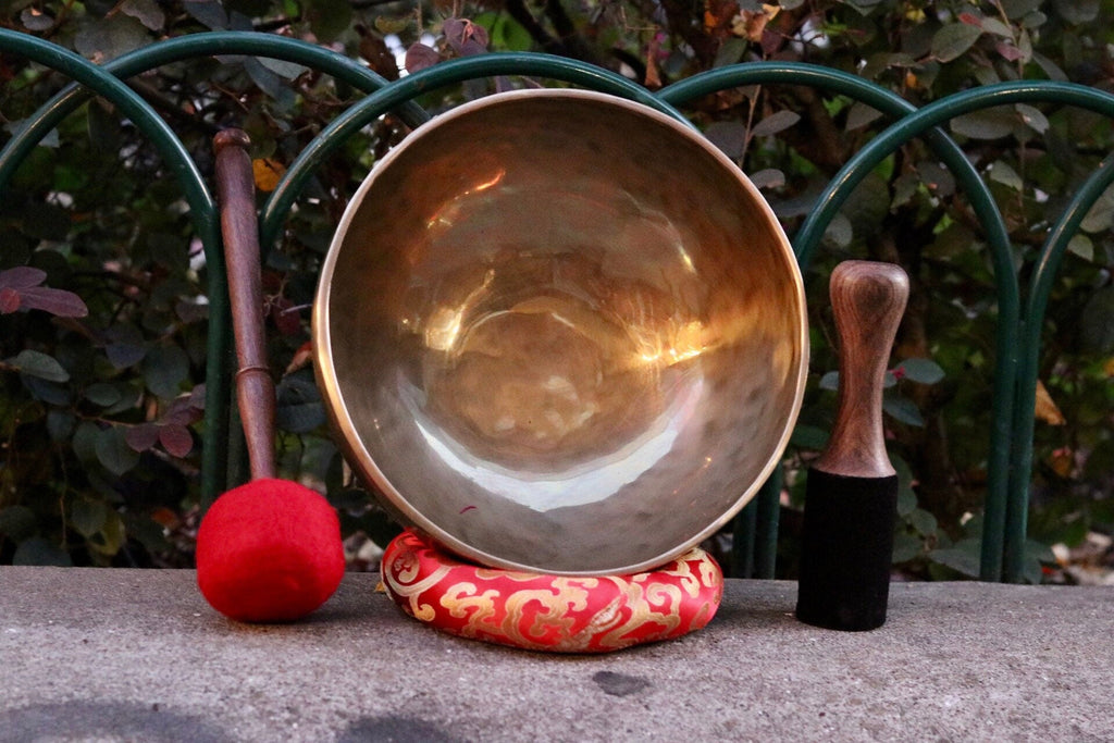10" inch Hand Hammered Tibetan Singing Bowl, Chakra Healing, Sound Therapy