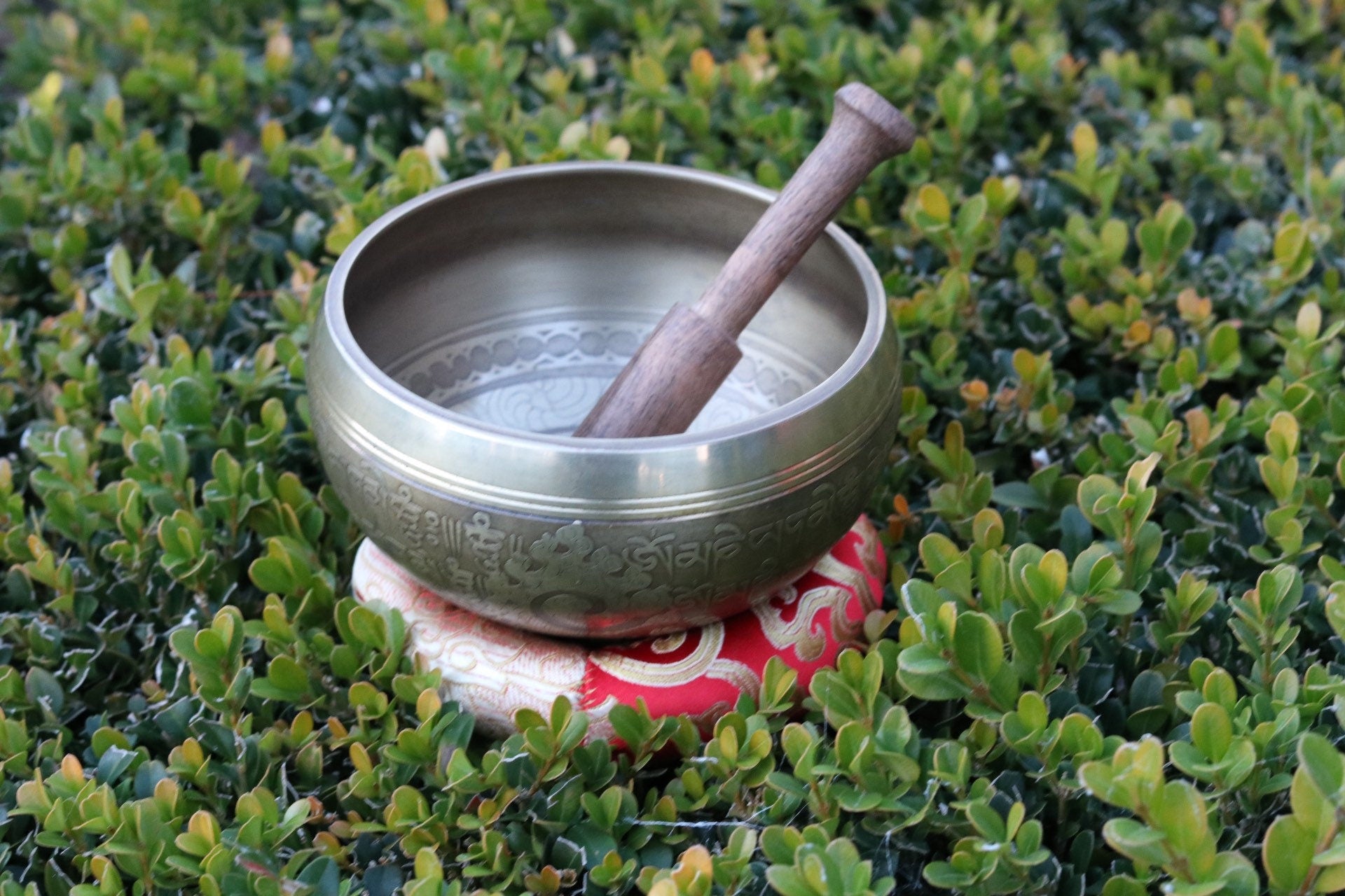 5" Bronze Mantra Singing Bowl | Yoga, Meditation & Sound Therapy