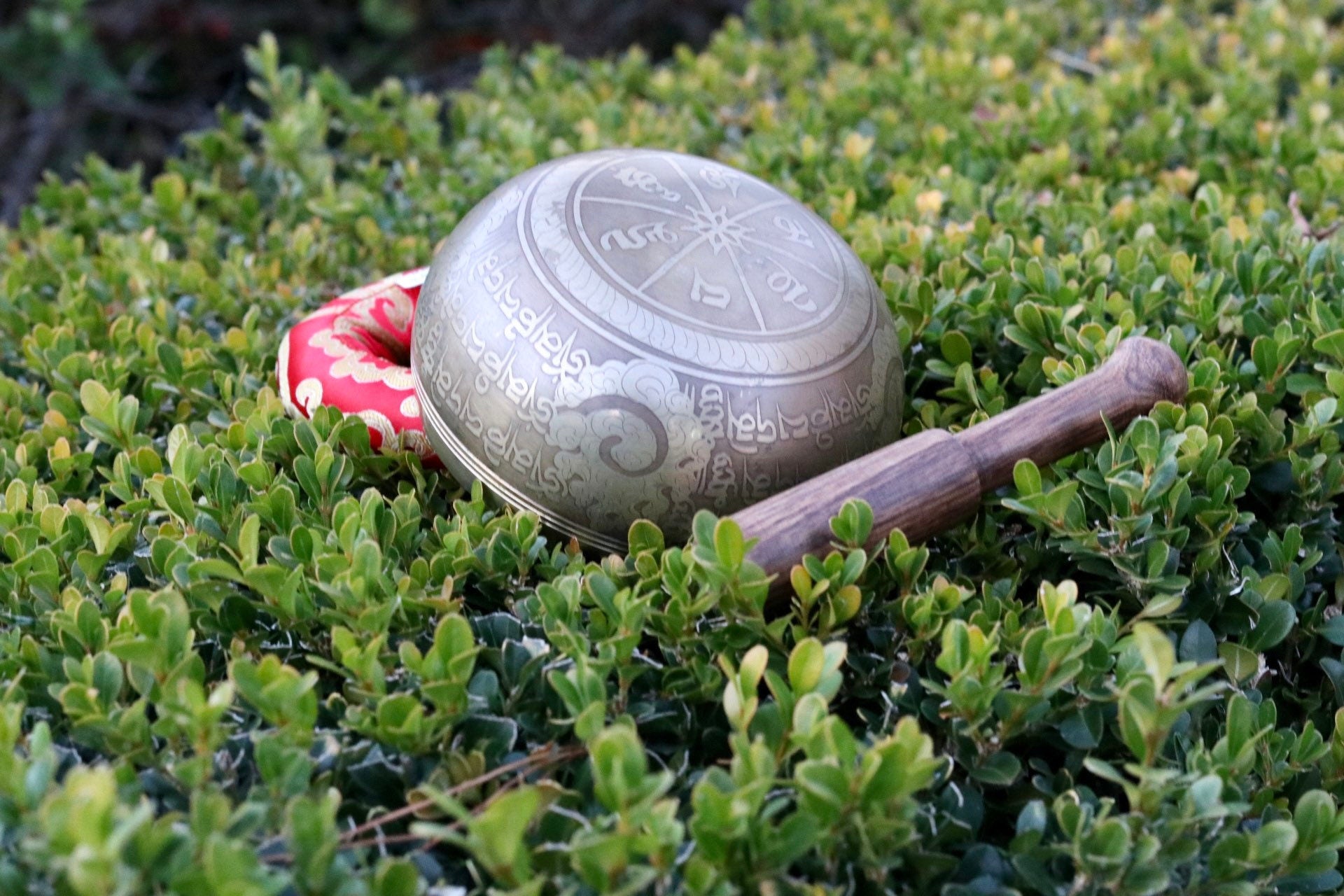 5" Bronze Mantra Singing Bowl | Yoga, Meditation & Sound Therapy