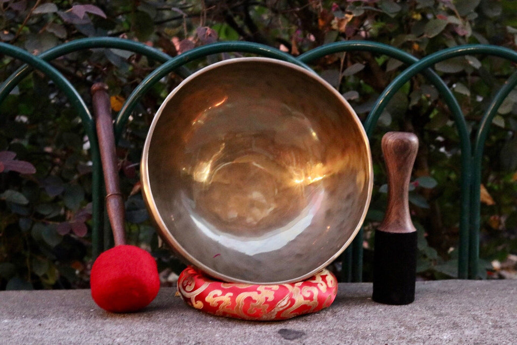10" inch Hand Hammered Tibetan Singing Bowl, Chakra Healing, Sound Therapy