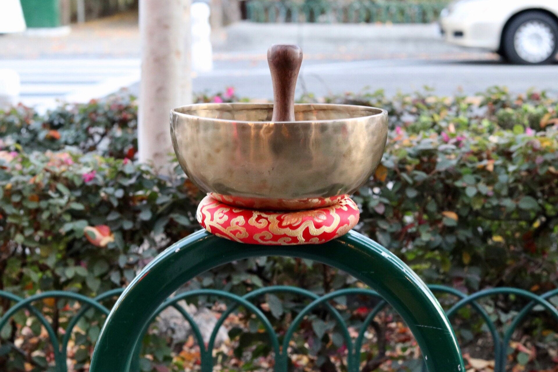 10" inch Hand Hammered Tibetan Singing Bowl, Chakra Healing, Sound Therapy